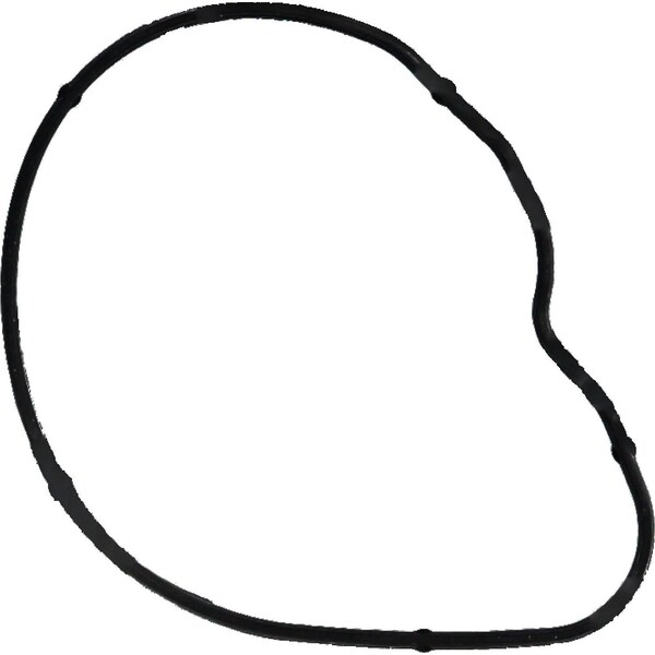 Reinz Engine Coolant Thermostat Gasket, 71-36584-00 71-36584-00 - main